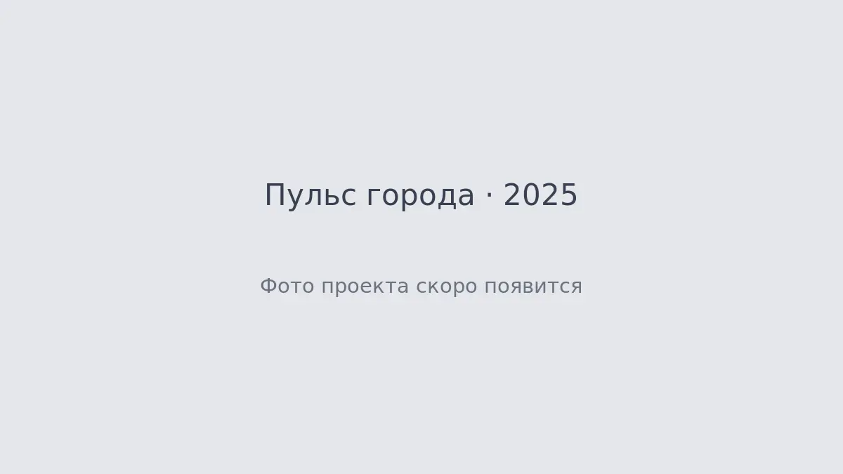 Обложка проекта Пульс города